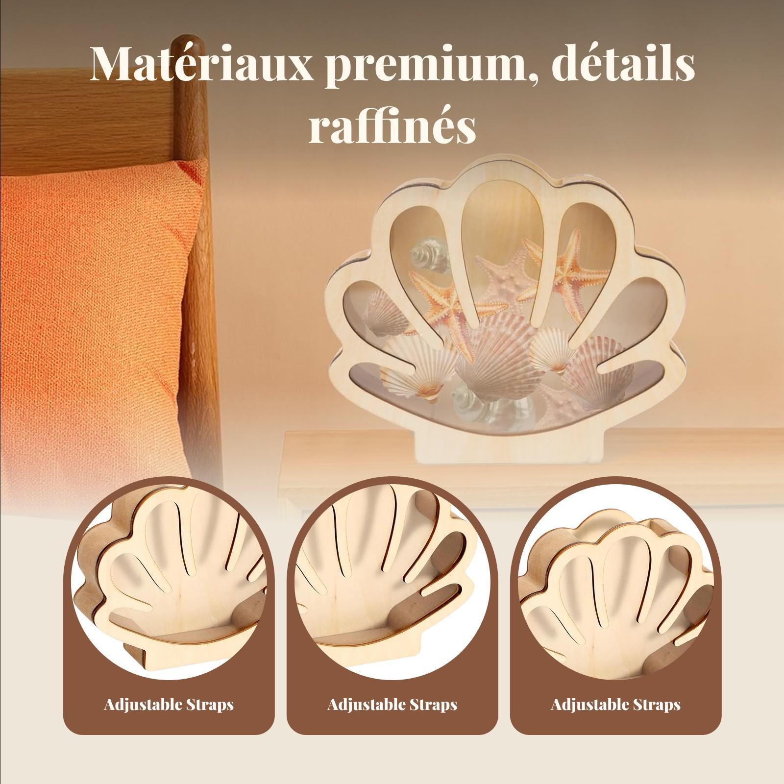 Wooden Shell Display Box Colle - Collectors Coins Jewelry & Watches Of Smithtown Reviews ulasan dan harga